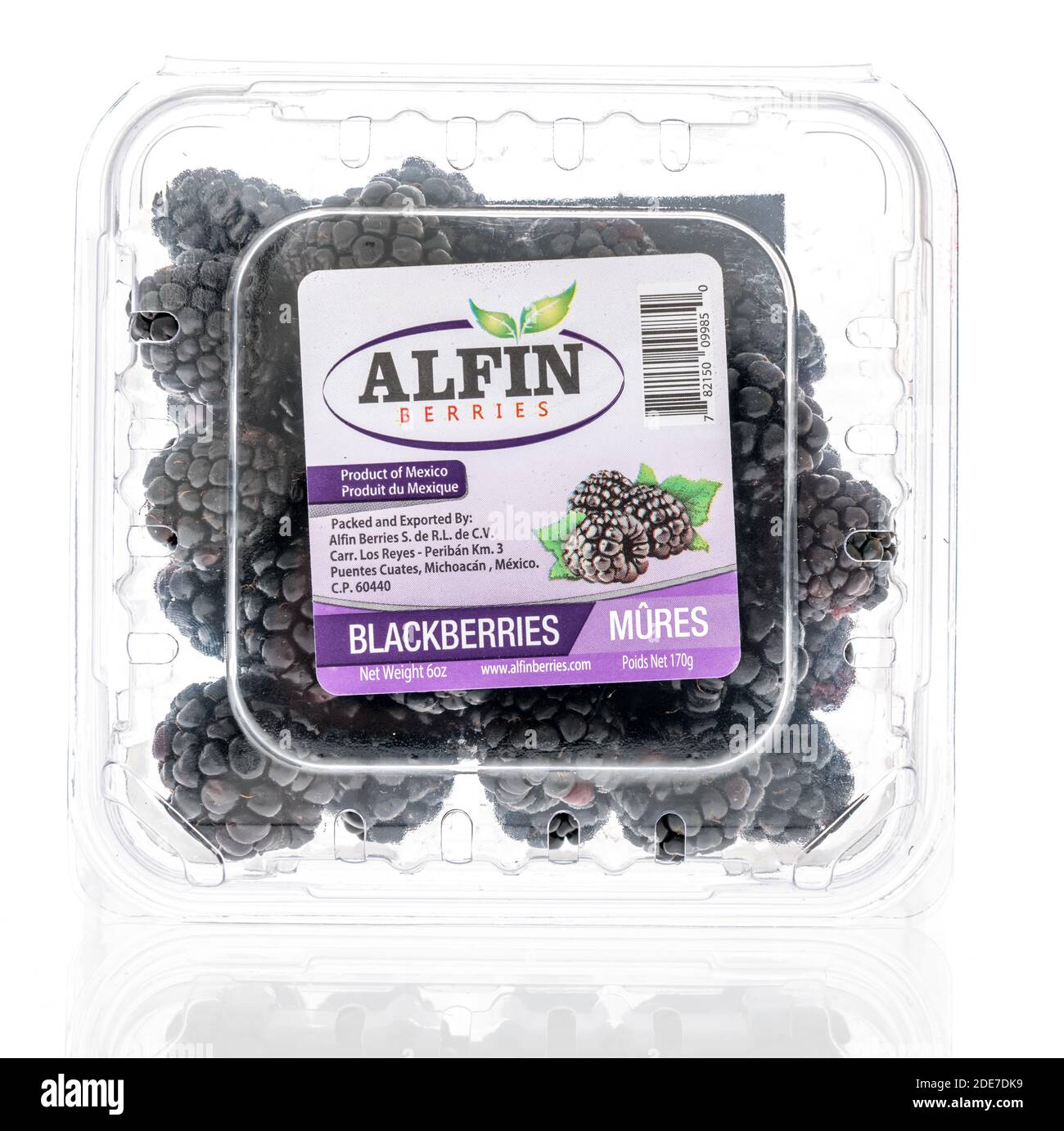Winneconne, WI -22 November 2020:  A package of Alfin blackberries on an isolated background. Stock Photo