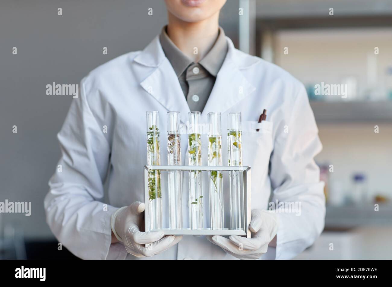 Cropped portrait of young female scientist holding test tubes with plant samples while working on research in biotechnology lab, copy space Stock Photo