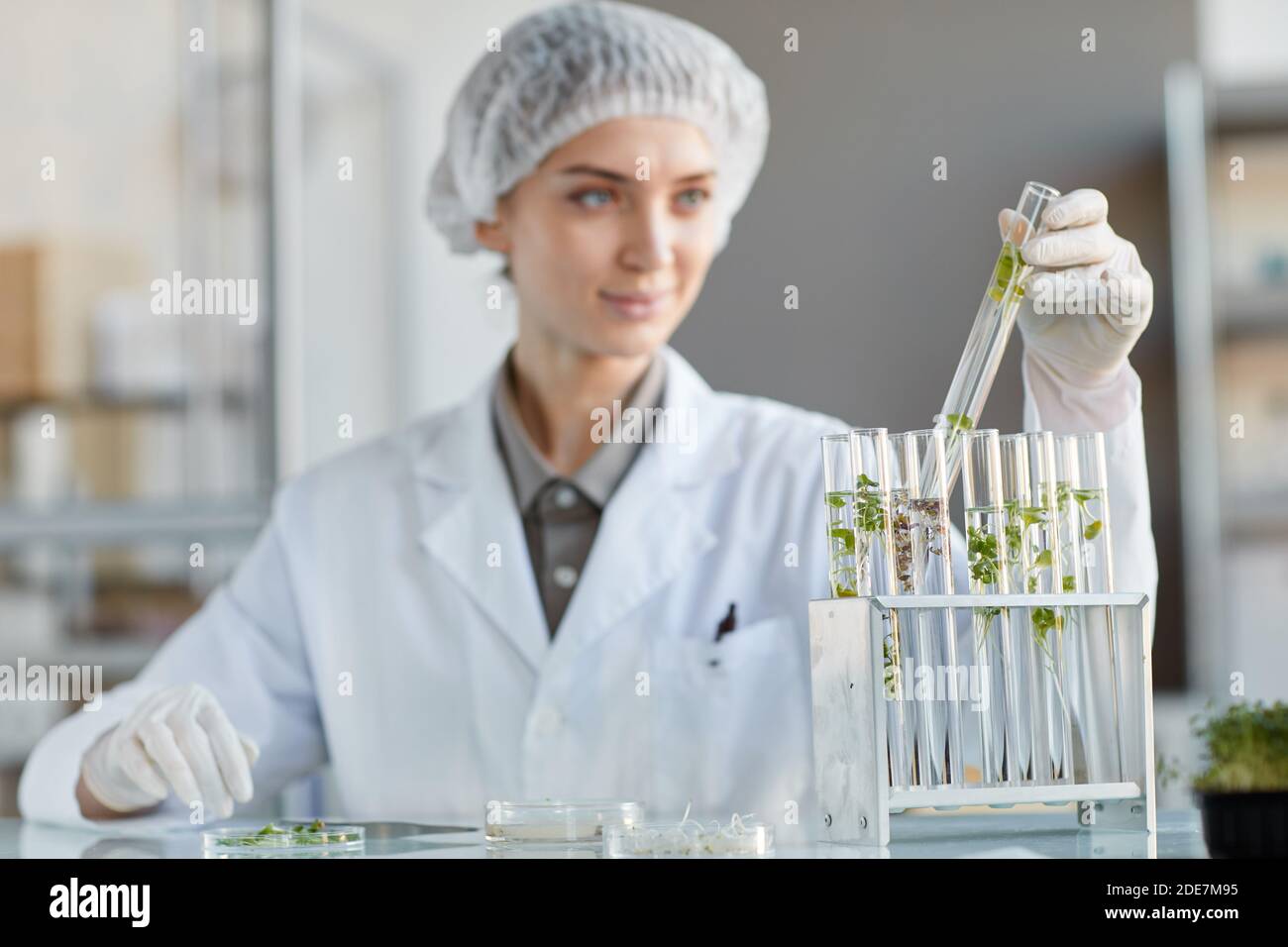 Portrait of young female scientist holding test tube with plant samples while working on research in biotechnology lab, copy space Stock Photo