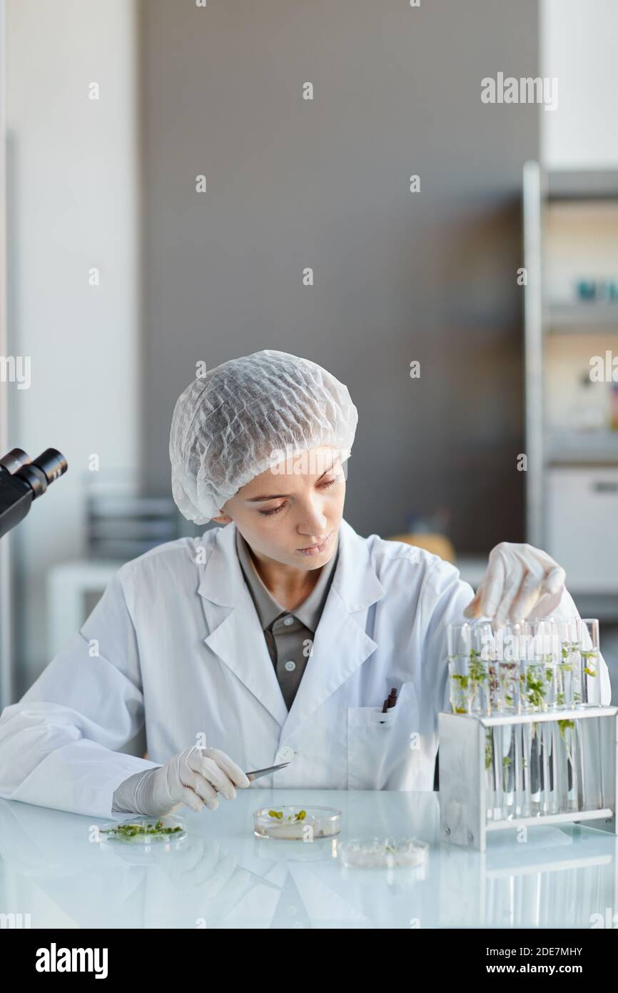 Vertical portrait of young female scientist holding test tube with plant samples while working on research in biotechnology lab, copy space Stock Photo