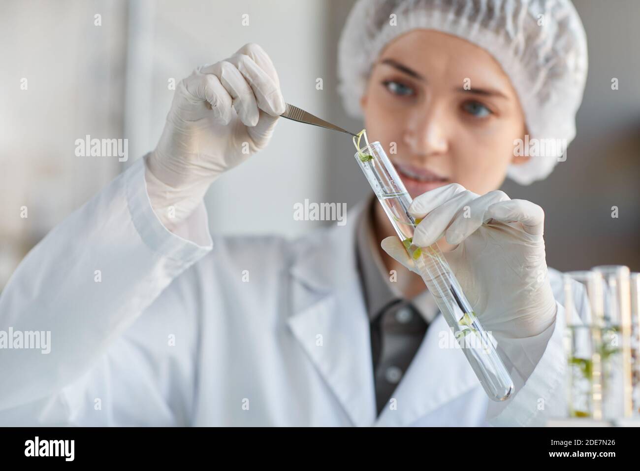 Close up portrait of young female scientist holding test tube with plant samples while working on research in biotechnology lab, copy space Stock Photo