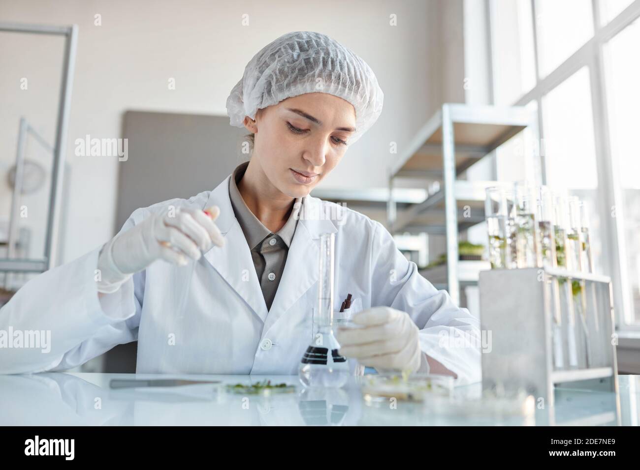 Front view portrait of young female scientist performing experiments with plant samples while working on research in biotechnology lab, copy space Stock Photo