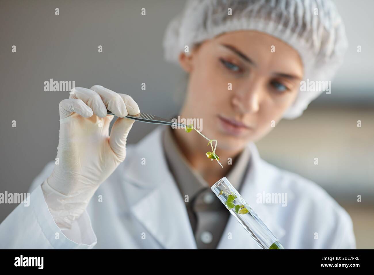 Close up portrait of young female scientist holding test tube with plant samples while doing experiments in biotechnology lab, copy space Stock Photo