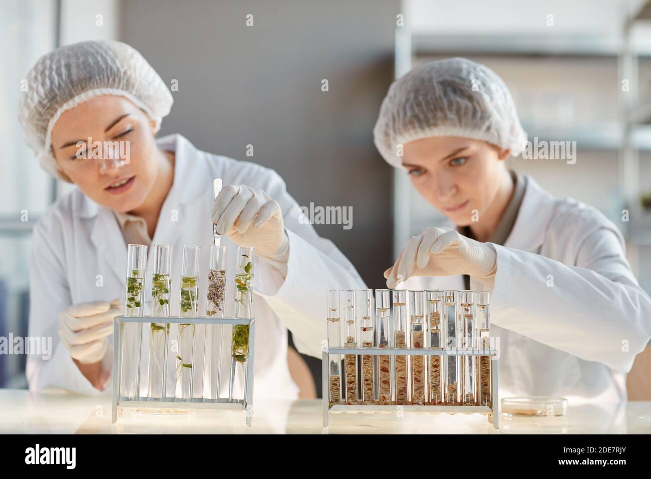 Portrait of two young female scientist working with test tubes with plant samples while doing experiments in biotechnology lab Stock Photo