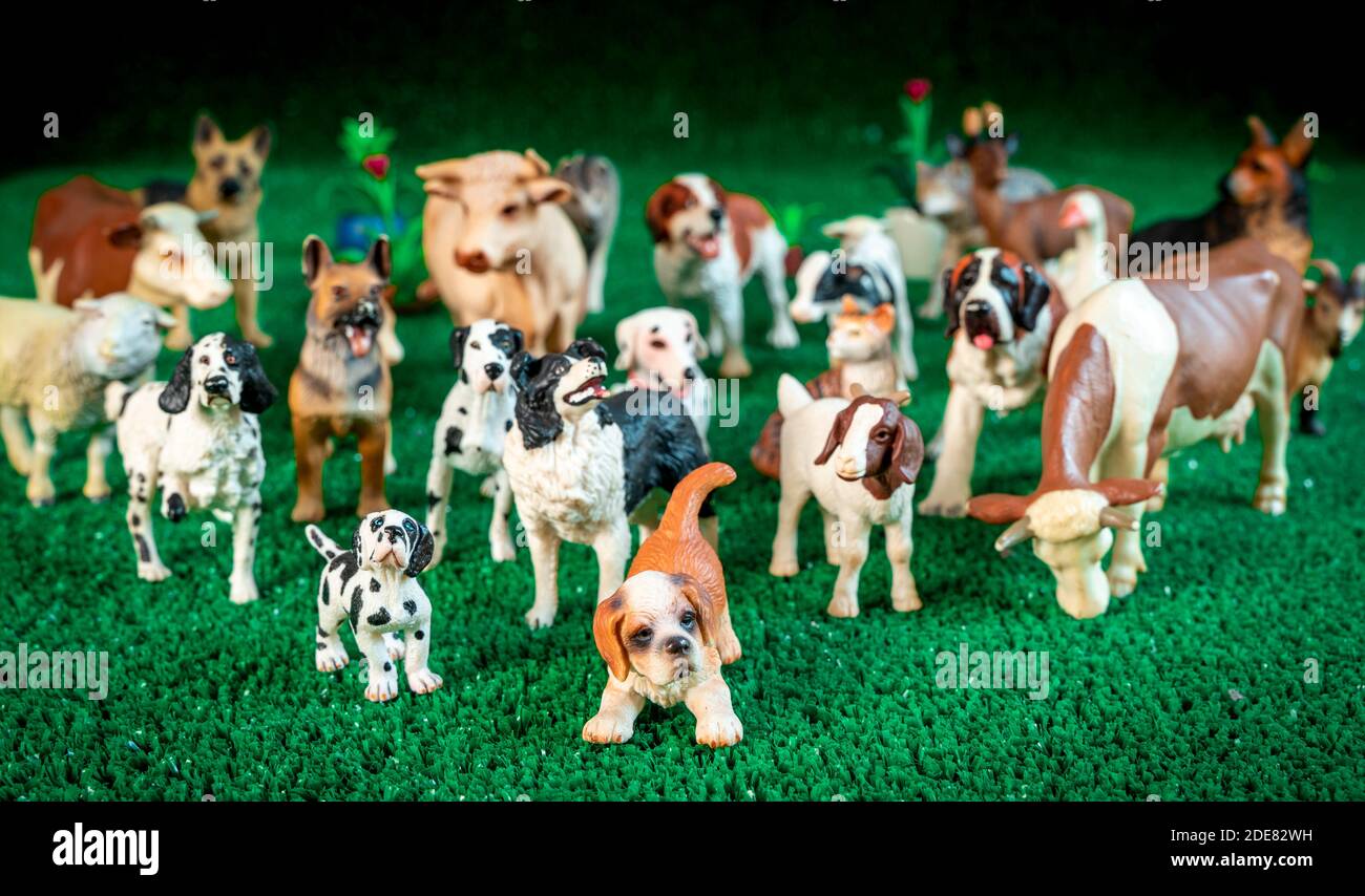 plastic figurines of dogs and farm animal. toys of children. animal  protection concept Stock Photo - Alamy