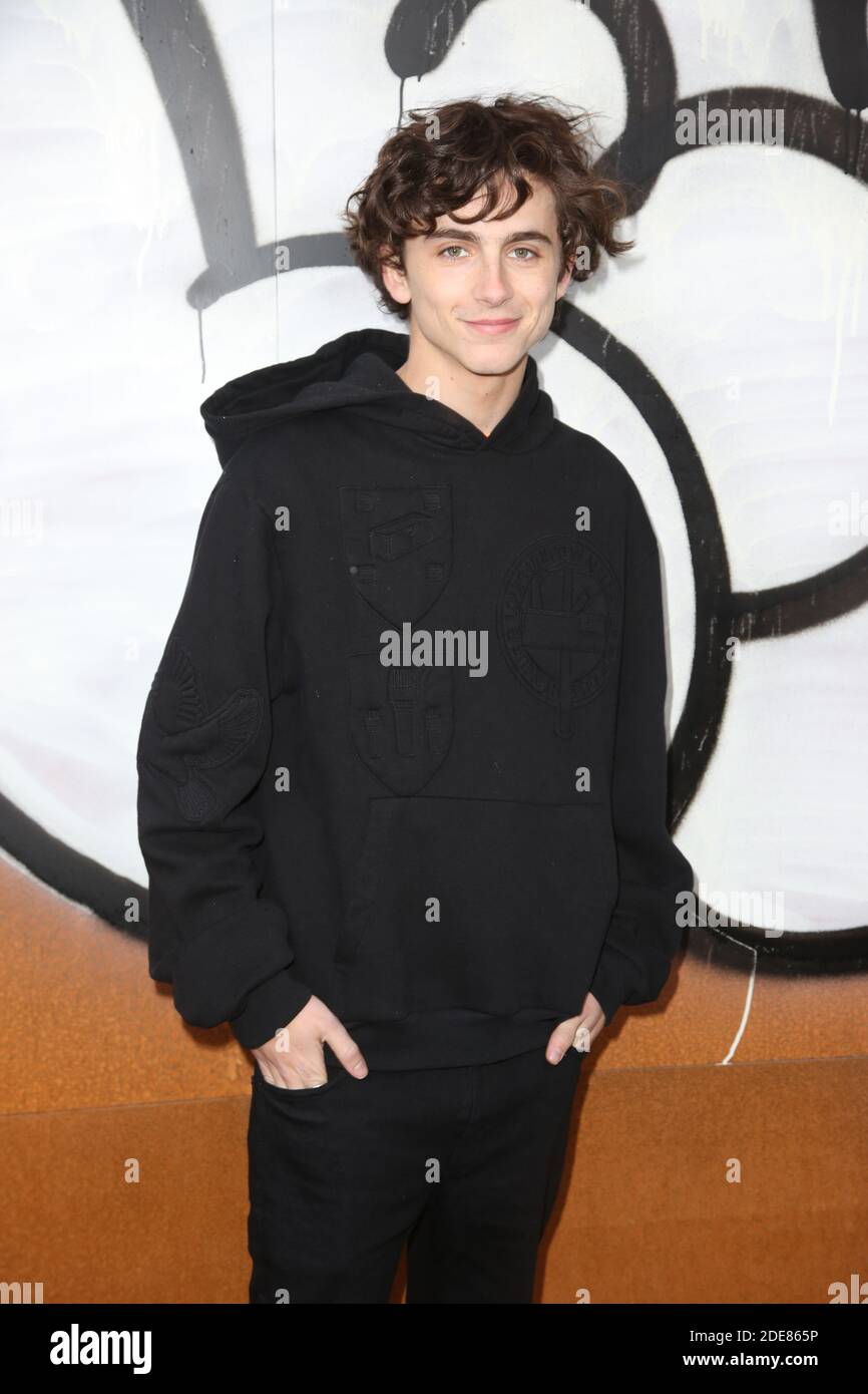 Timothee Chalamet attending the Louis Vuitton Menswear Fall/Winter  2019-2020 show as part of Paris Fashion Week in Paris, France on January  17, 2019. Photo by Jerome Domine/ABACAPRESS.COM Stock Photo - Alamy