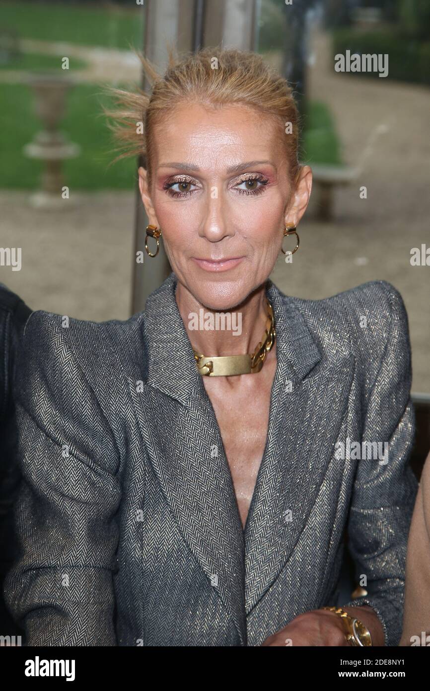 Celine Dion at the Ronald van der Kemp show as part of Paris Haute