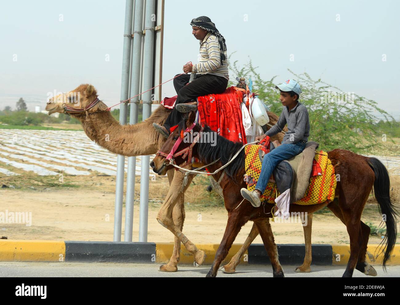 Father and son riding a camel and a horse in Swemeh in countryside Jordan. Stock Photo