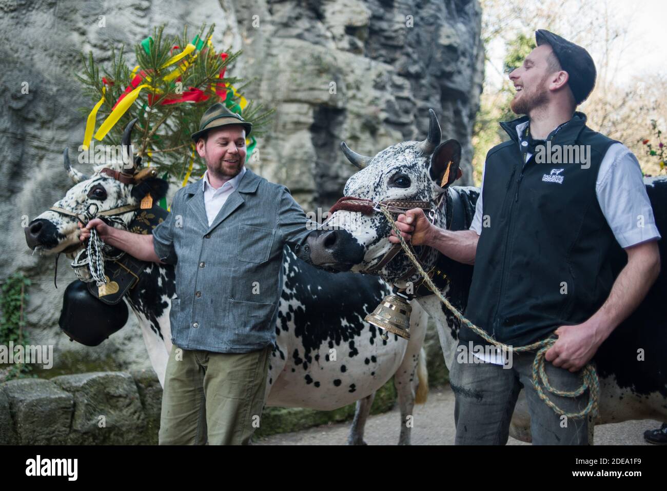 Farmers laugh with their cows at the ButtesChaumont park in Paris on