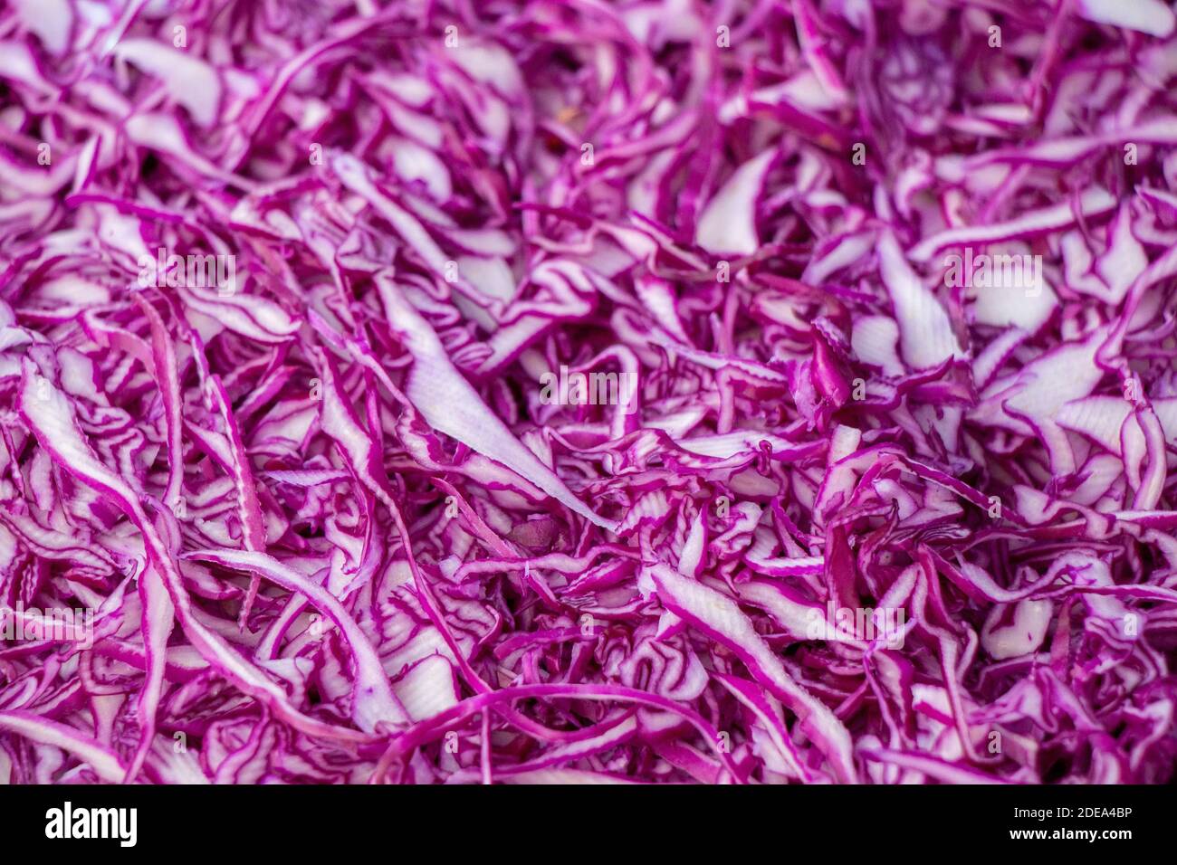 Grated ed cabbages in a supermarket, Cabbage background Stock Photo Alamy