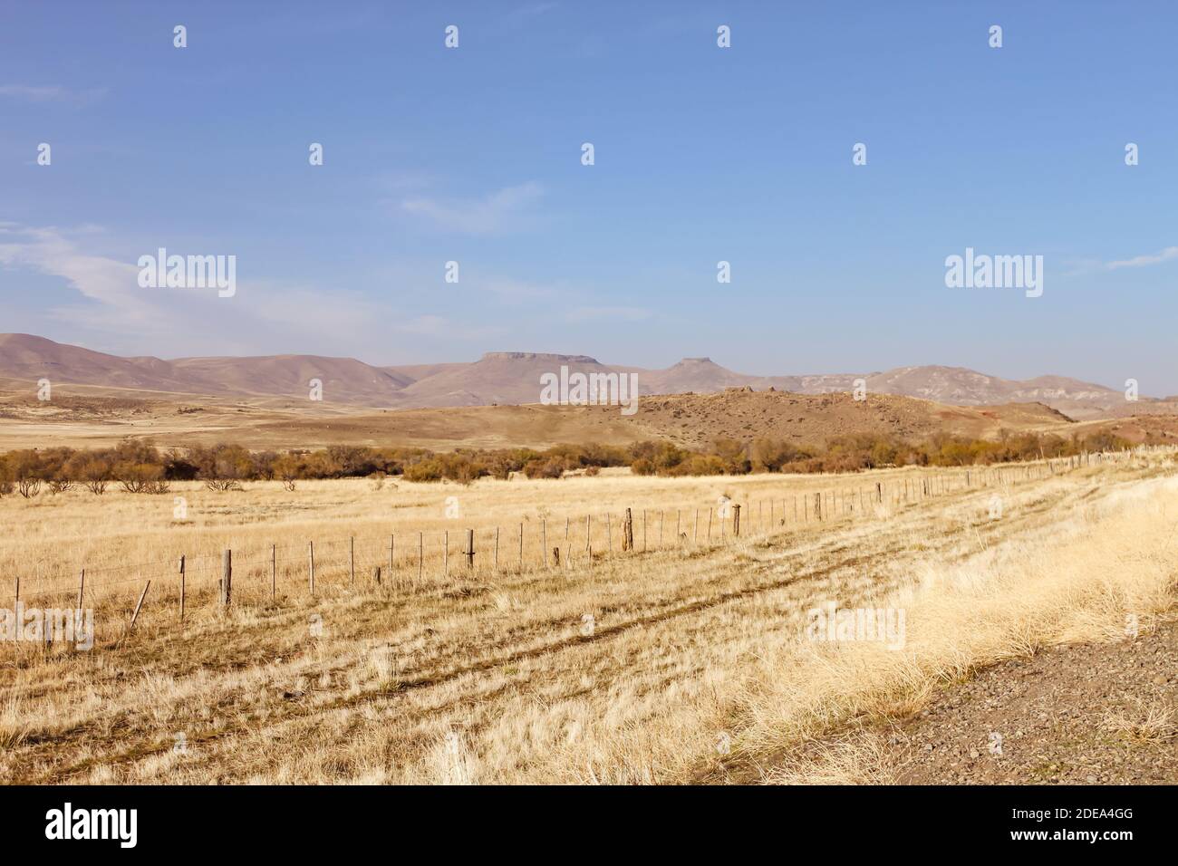 Patagonian steppe in Neuquen, Argentina, near the Andes. Stock Photo