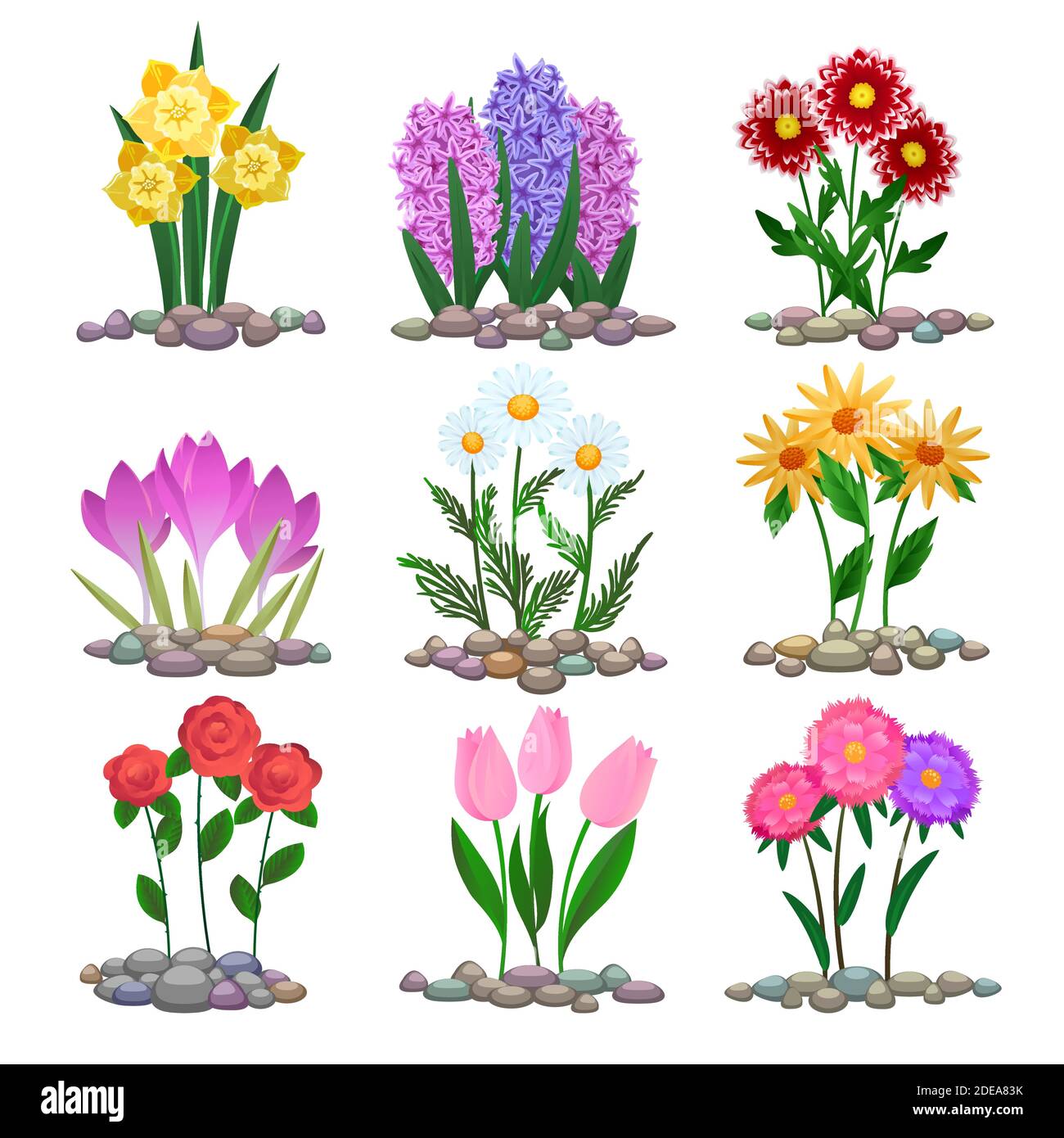 Spring grass texture flowers Stock Vector Images - Alamy