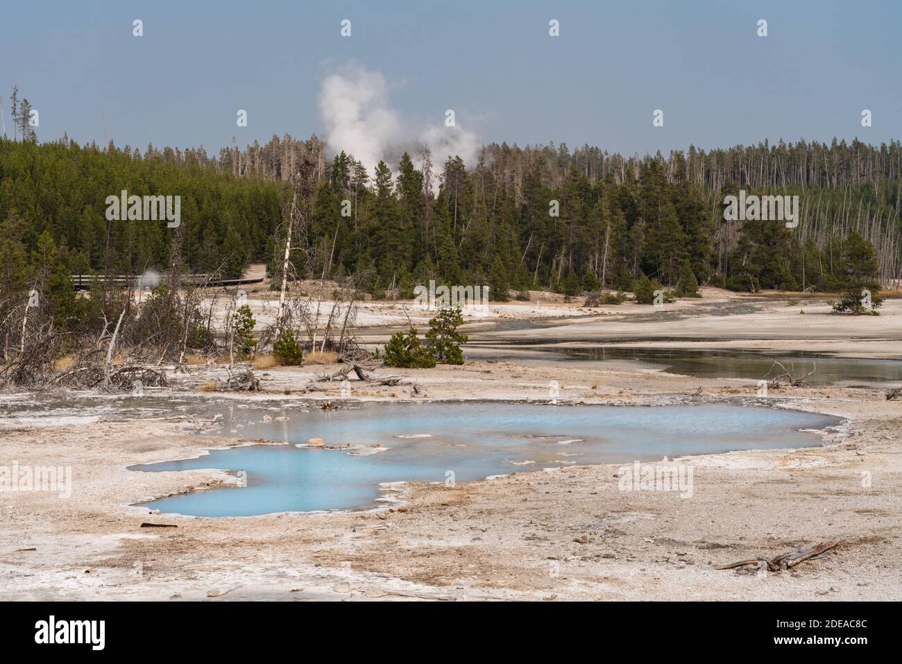 Steamboat Geyser and a hot spring in tge Back Basin of the Norris ...