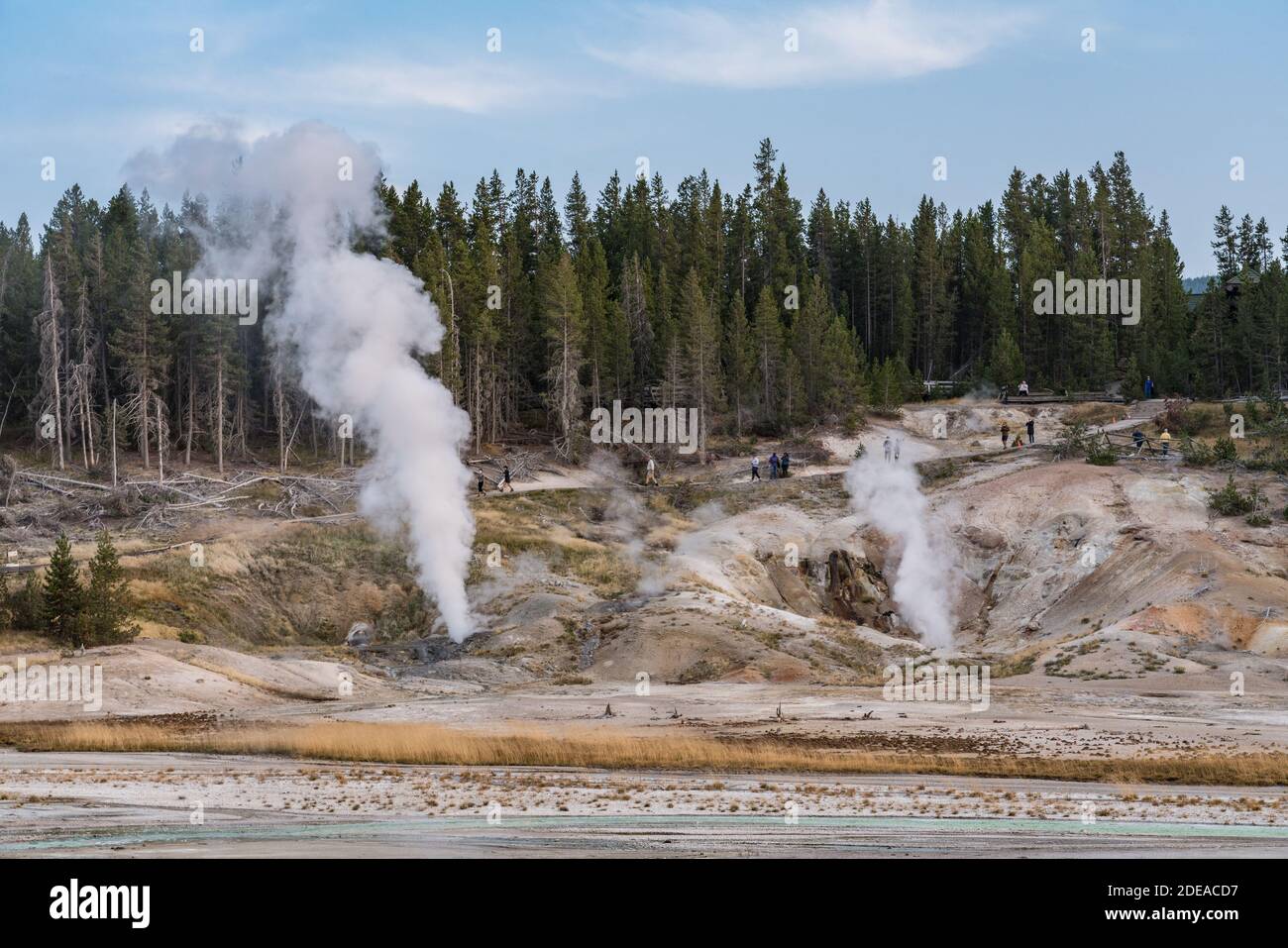 Ledge Geyser and the Black Growler Steam Vent in the Porcelain Basin of ...