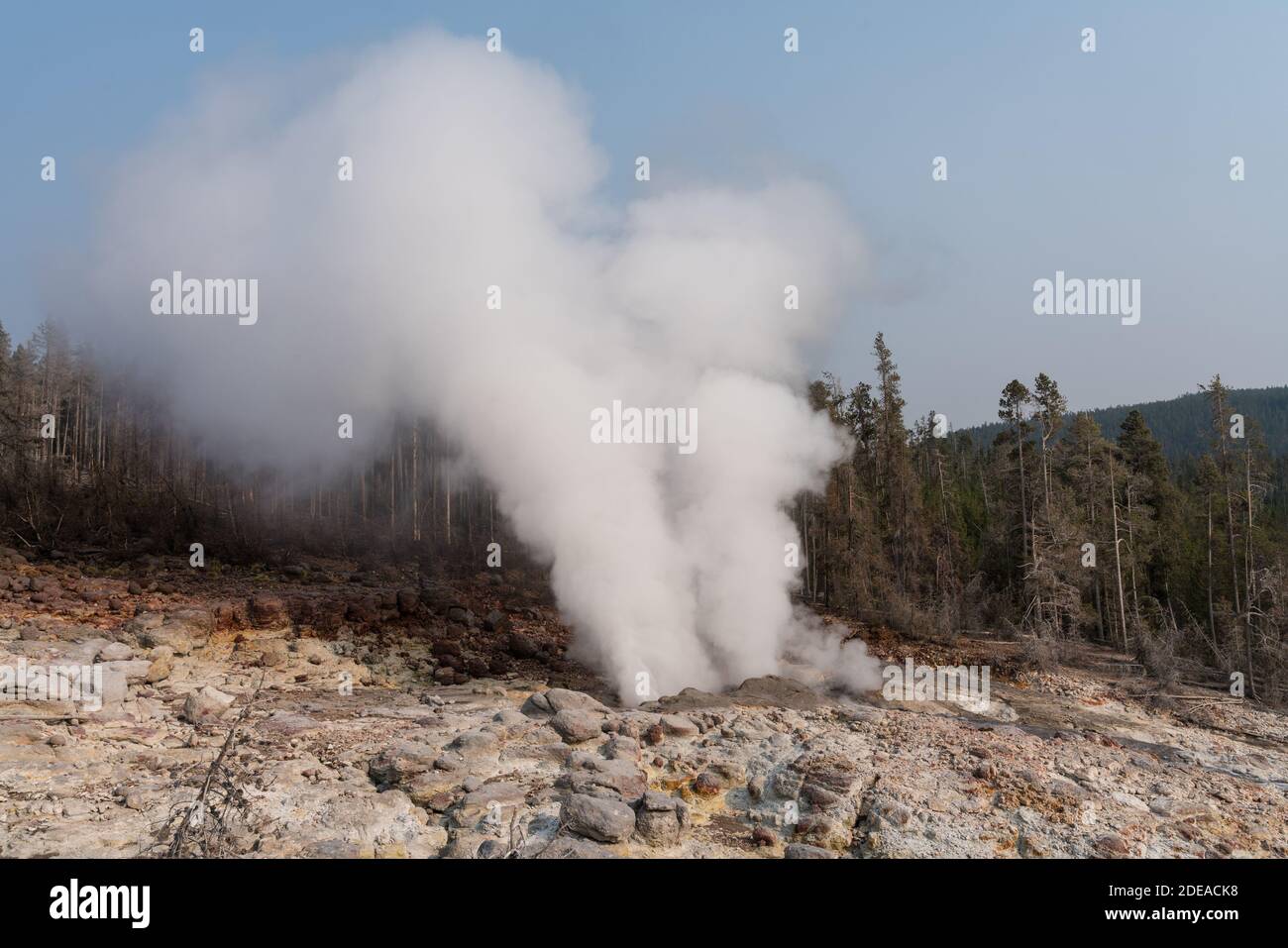 Steamboat Geyser, Back Basin of the Norris Geyser Basin, Yellowstone National Park, Wyoming. Stock Photo