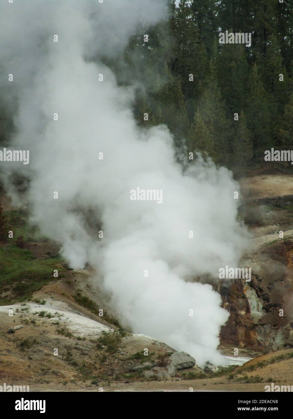 The Black Growler Steam Vent in the Porcelain Basin, Norris Geyser ...