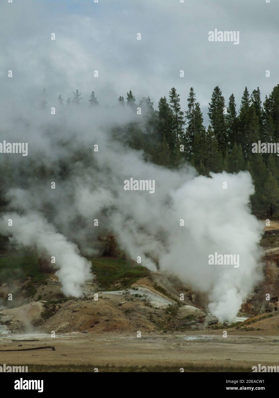 The Black Growler Steam Vent in the Porcelain Basin, Norris Geyser ...