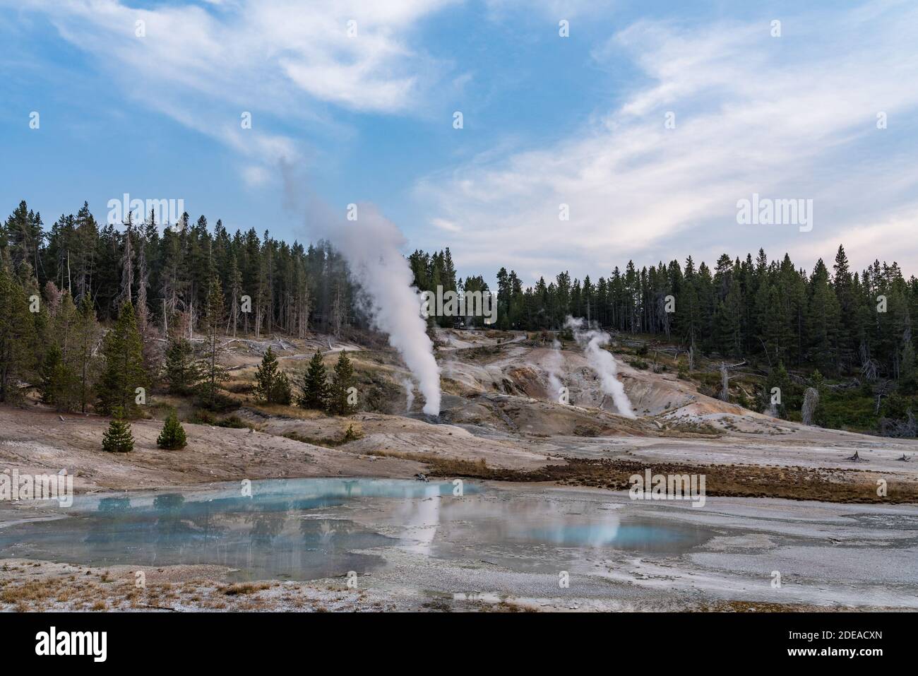 Ledge Geyser and the Black Growler Steam Vent in the Porcelain Basin of ...