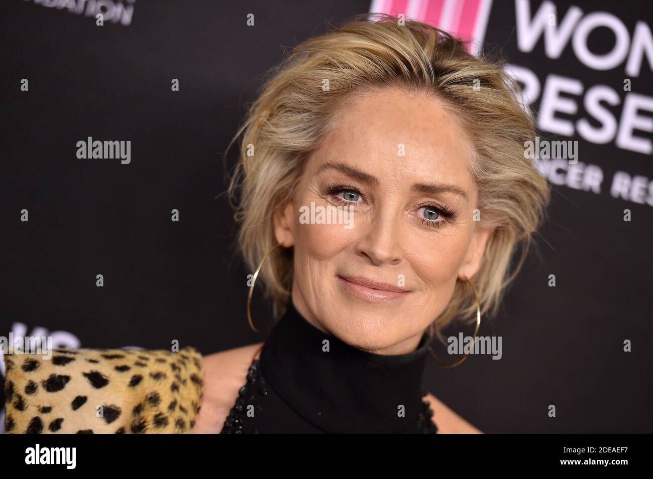 Sharon Stone attends the Women's Cancer Research Fund's An