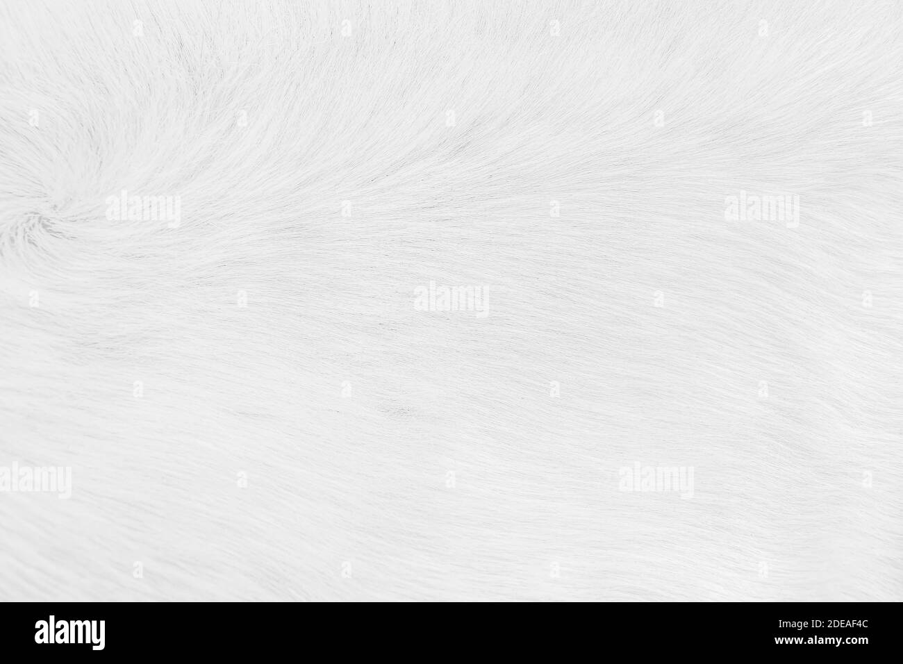 White fabric texture. Abstract cloth wool background Stock Photo - Alamy