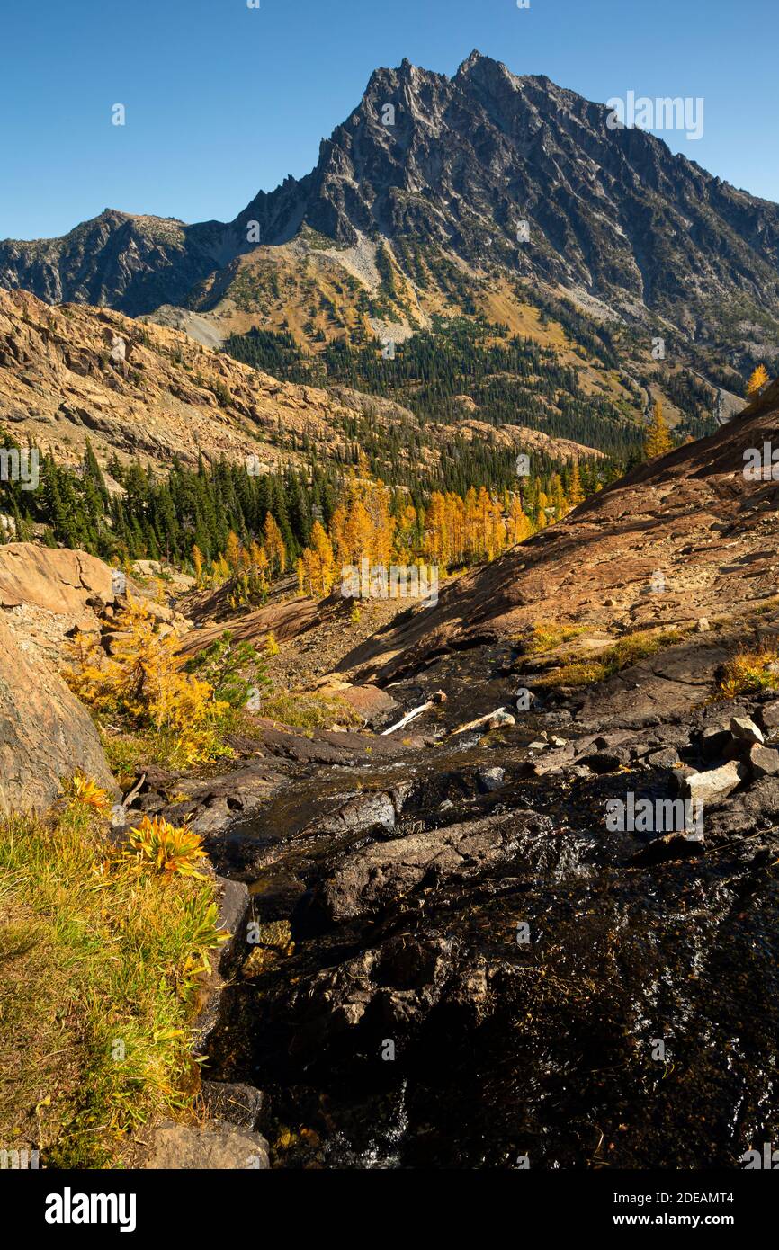 WA18583-00...WASHINGTON - Small creek surrounded by fall color, subalpine larch trees and view of Mount Stuart from the Ingalls Way in the Alpine Lake Stock Photo