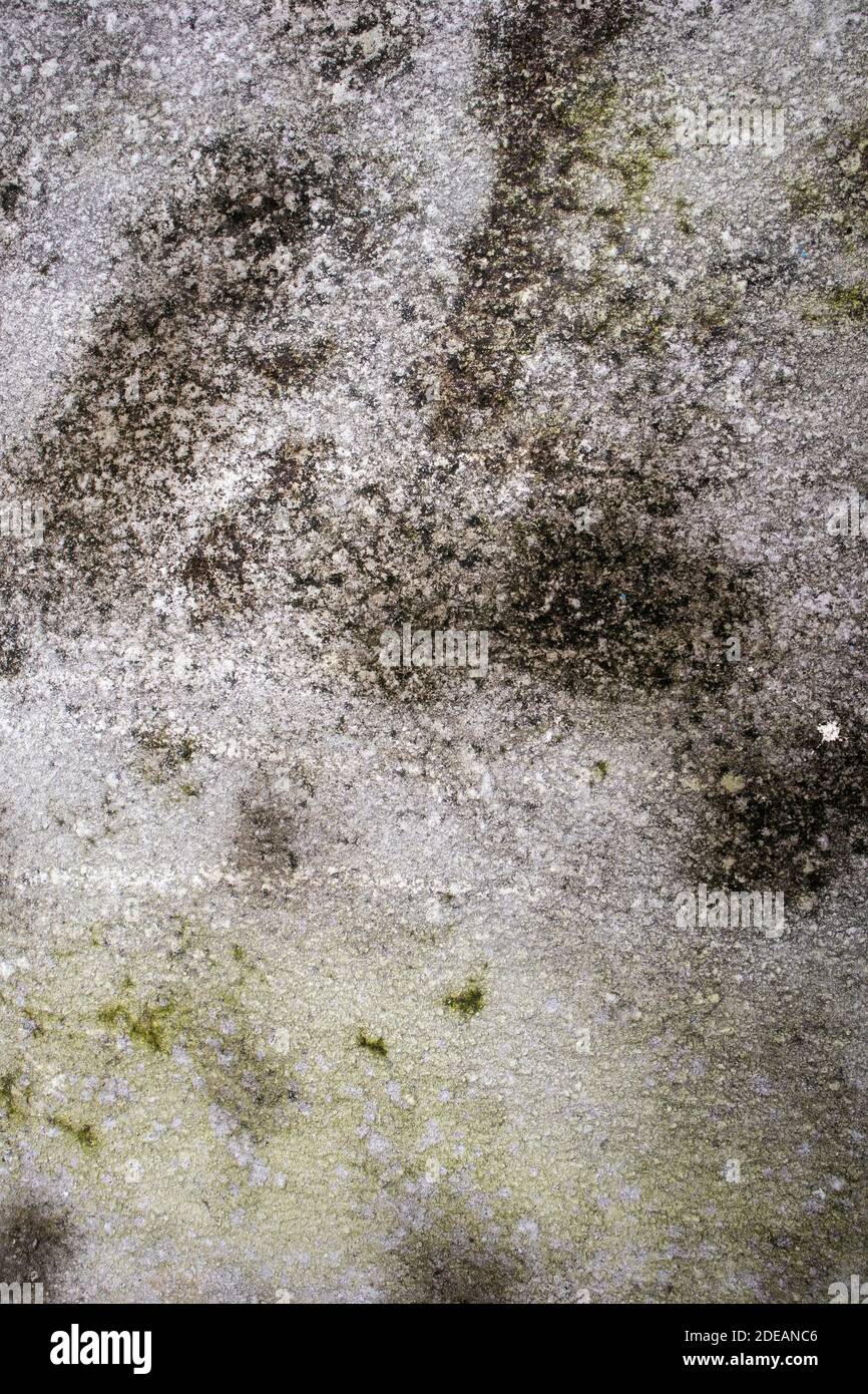 Old wall concrete texture background Stock Photo
