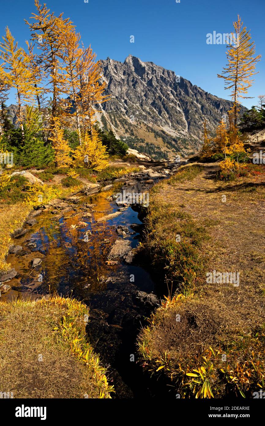 WA18603-00...WASHINGTON - A small creek crossed on the Ingalls Way Trail in the Alpine Lakes Wilderness Area, Wenatchee National Forest. Stock Photo