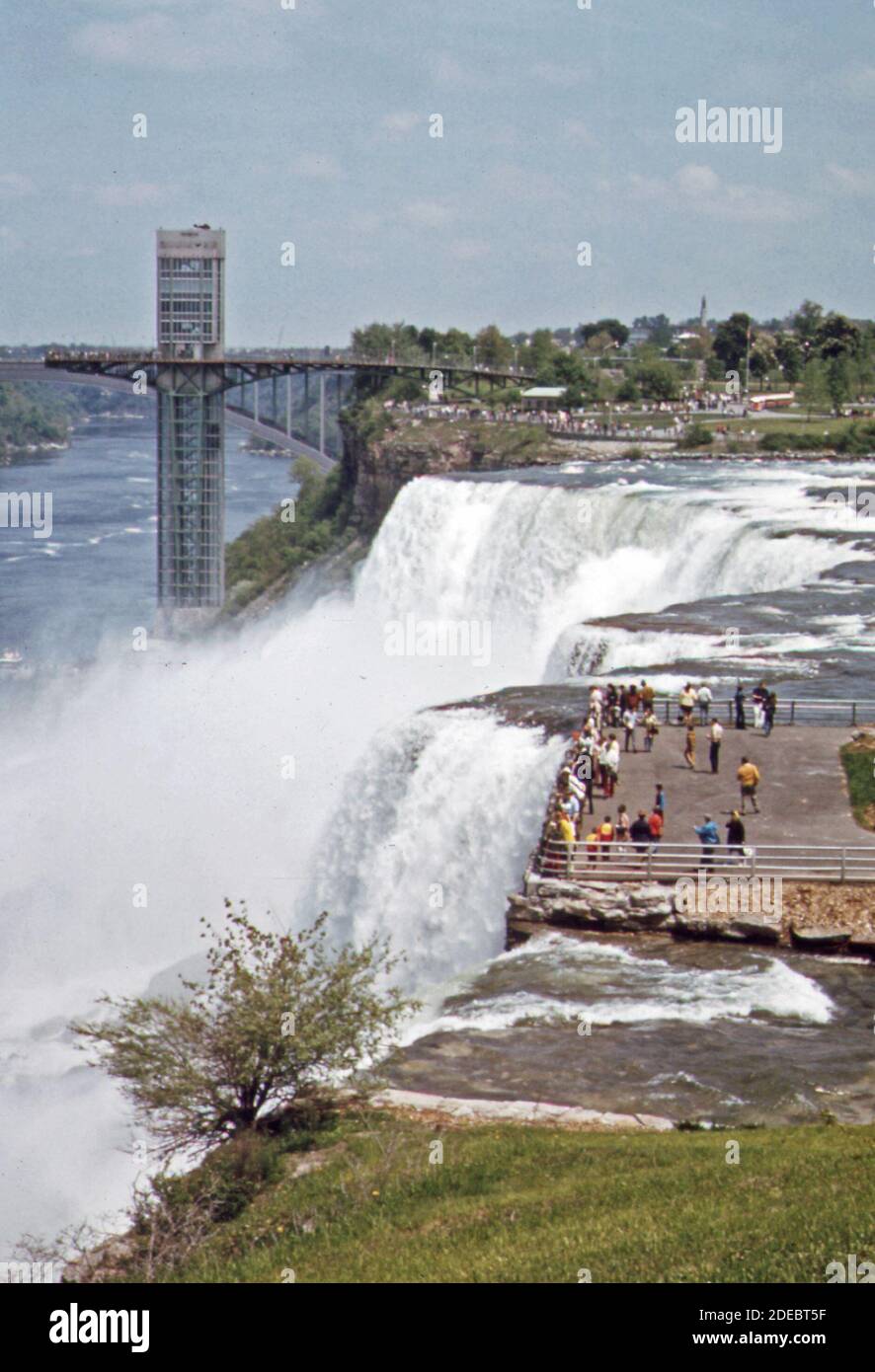 All about Niagara : 1973-1979+α 51HC50JB14L._UF1000,1000_QL80_.jpg