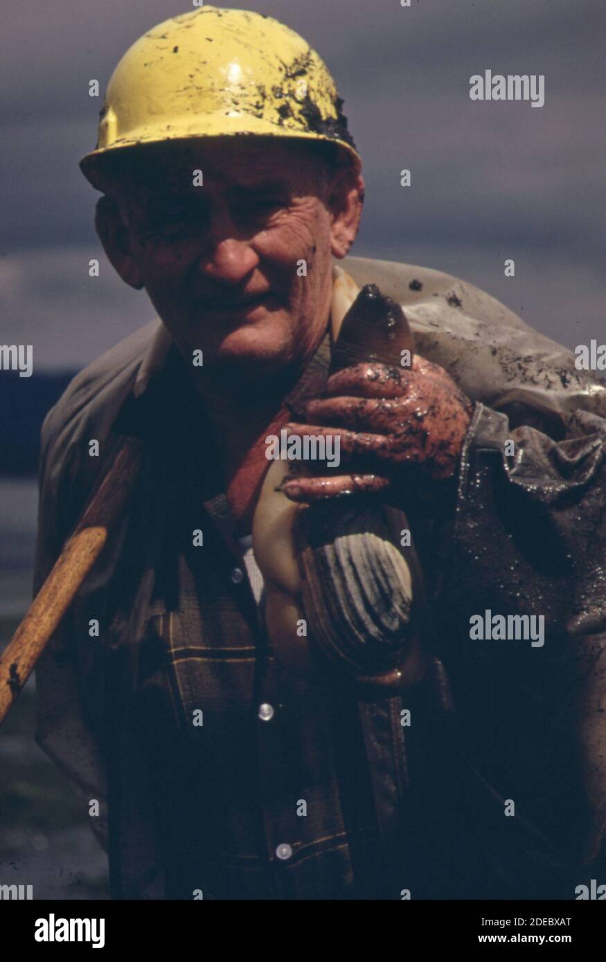 1970s Photo (1973) Ray Longmire of Olympia with a geoduck clam he has
