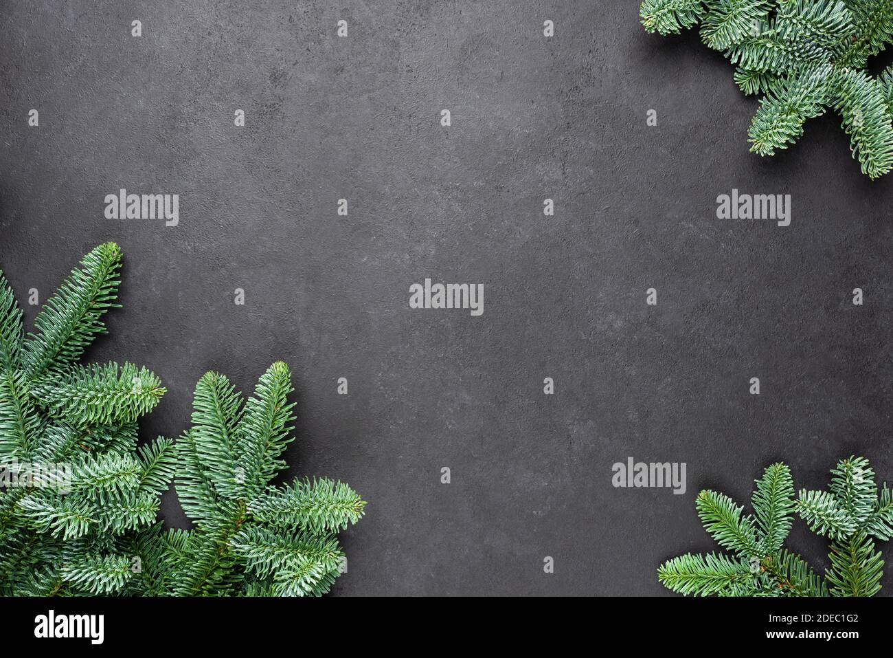 Christmas frame background with fir tree on black concrete background. Design mock up Stock Photo