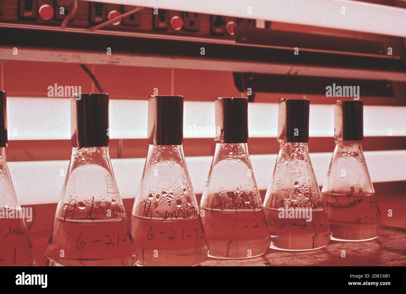 1970s Photo (1972) EPA Gulf Breeze Laboratory The microbiology lab