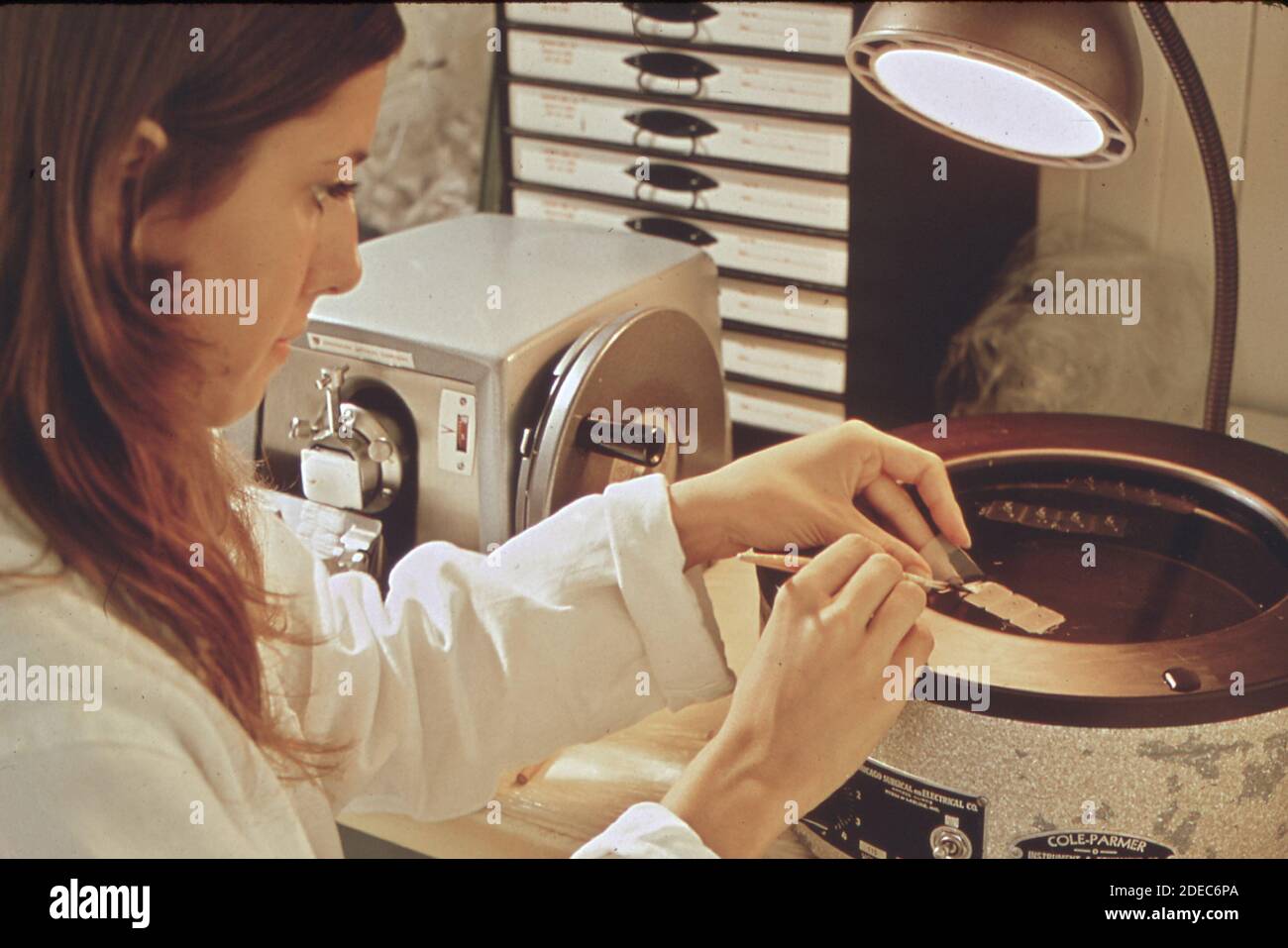 1970s Photo (1972) EPA Gulf Breeze Laboratory pathobiology lab