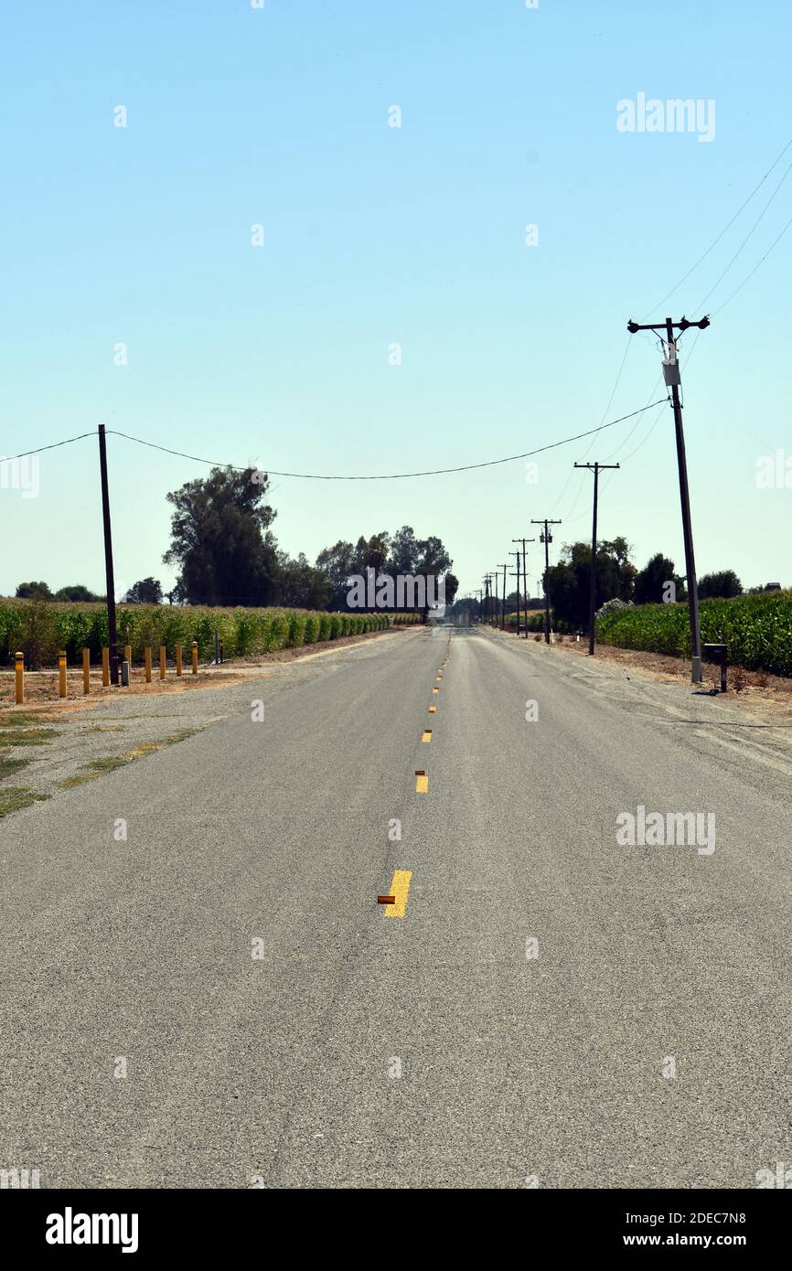 A vertical shot of a straight paved road with paint markings and ...