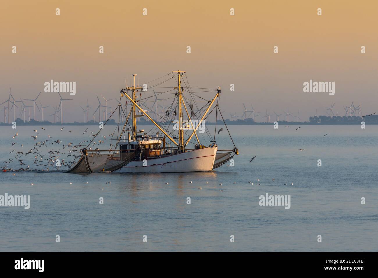 Fishing vessel north sea catch hi-res stock photography and images