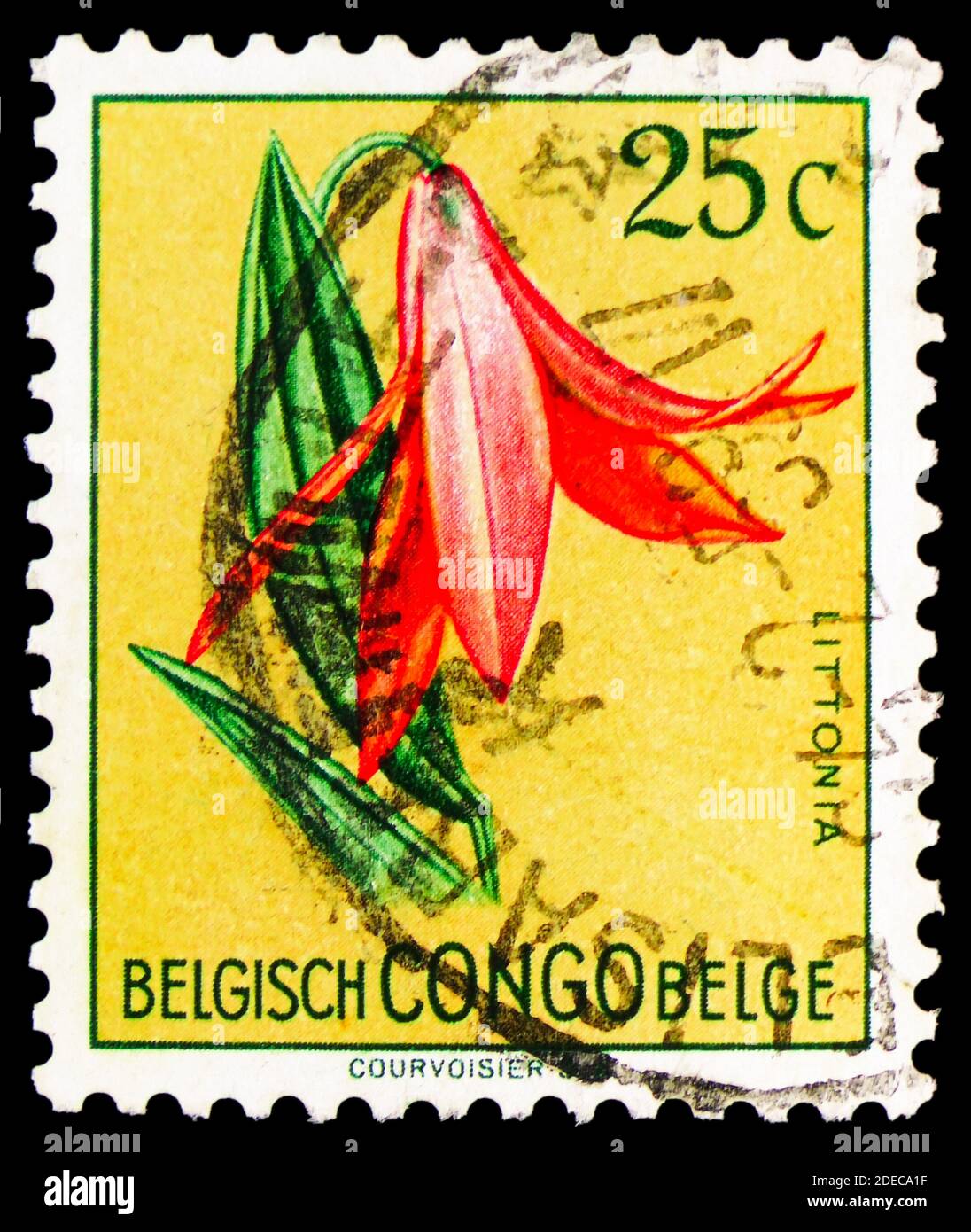 MOSCOW, RUSSIA - OCTOBER 17, 2020: Postage stamp printed in Belgish Congo shows Littonia lindenii, Flowers serie, circa 1952 Stock Photo
