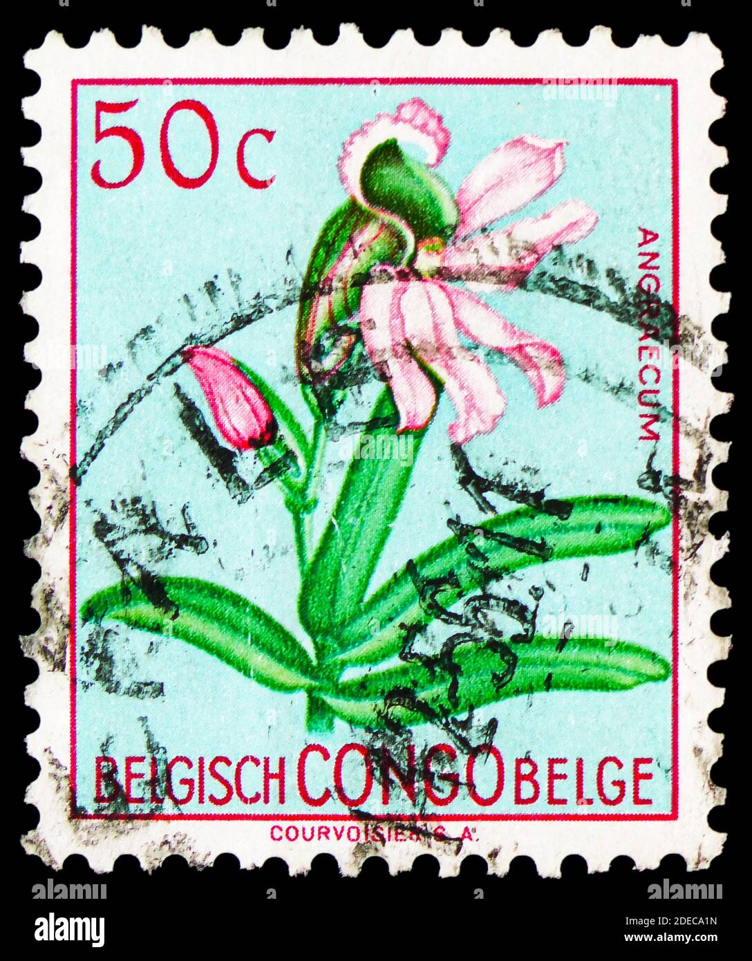 MOSCOW, RUSSIA - OCTOBER 17, 2020: Postage stamp printed in Belgish Congo shows Eurychone galeandrae (syn.Angraecum galeandrae), Flowers serie, circa Stock Photo