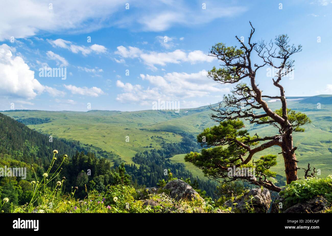 Valley plateau Lago Naki in Adygea in Southern Russia Stock Photo