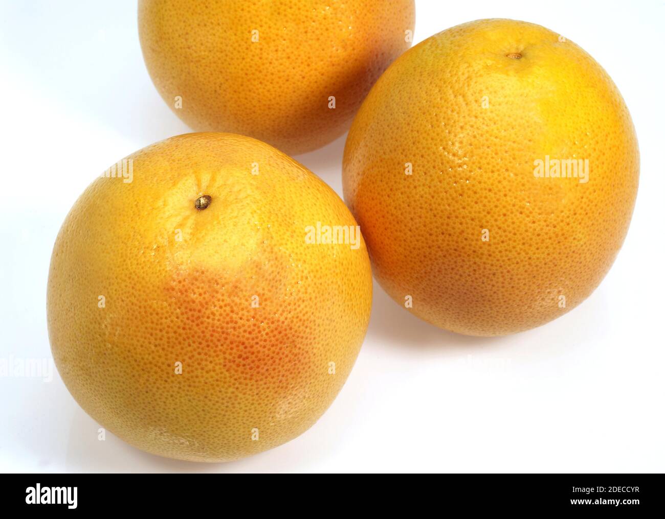 POMELO, citrus paradisi, Fruits against White Background Stock Photo