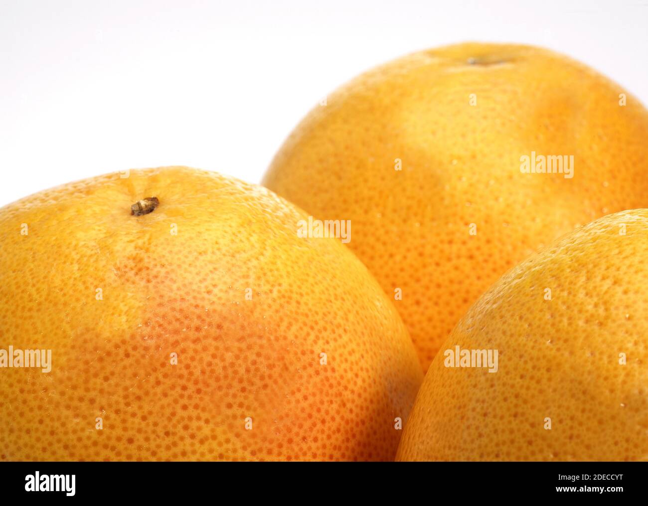 POMELO, citrus paradisi, Fruits against White Background Stock Photo