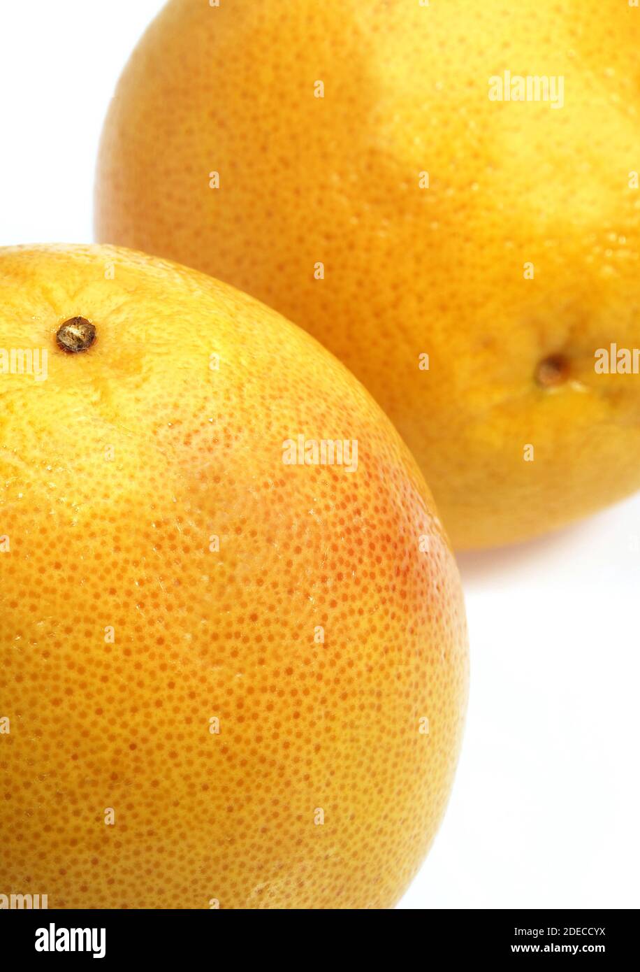 POMELO, citrus paradisi, Fruits against White Background Stock Photo