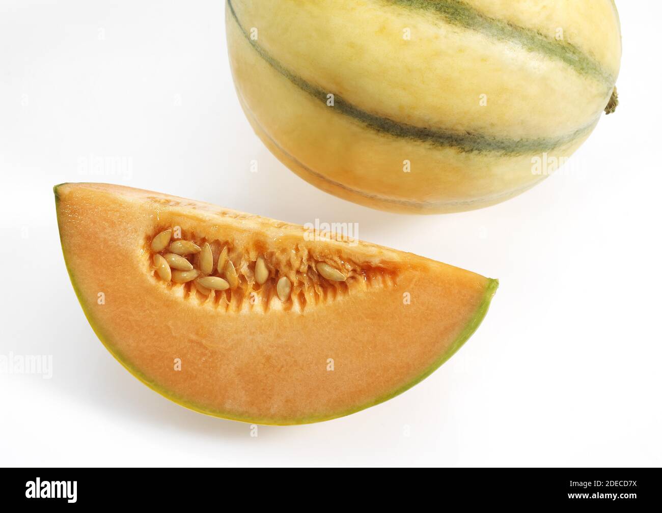 Cavaillon Melon, cucumis melo, Fruits against White Background Stock