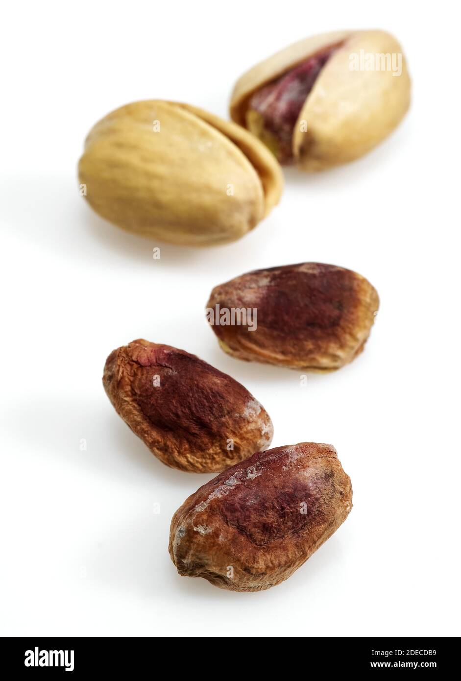 Pistachio Nuts, pistacia vera, Dry Fruits against White Background