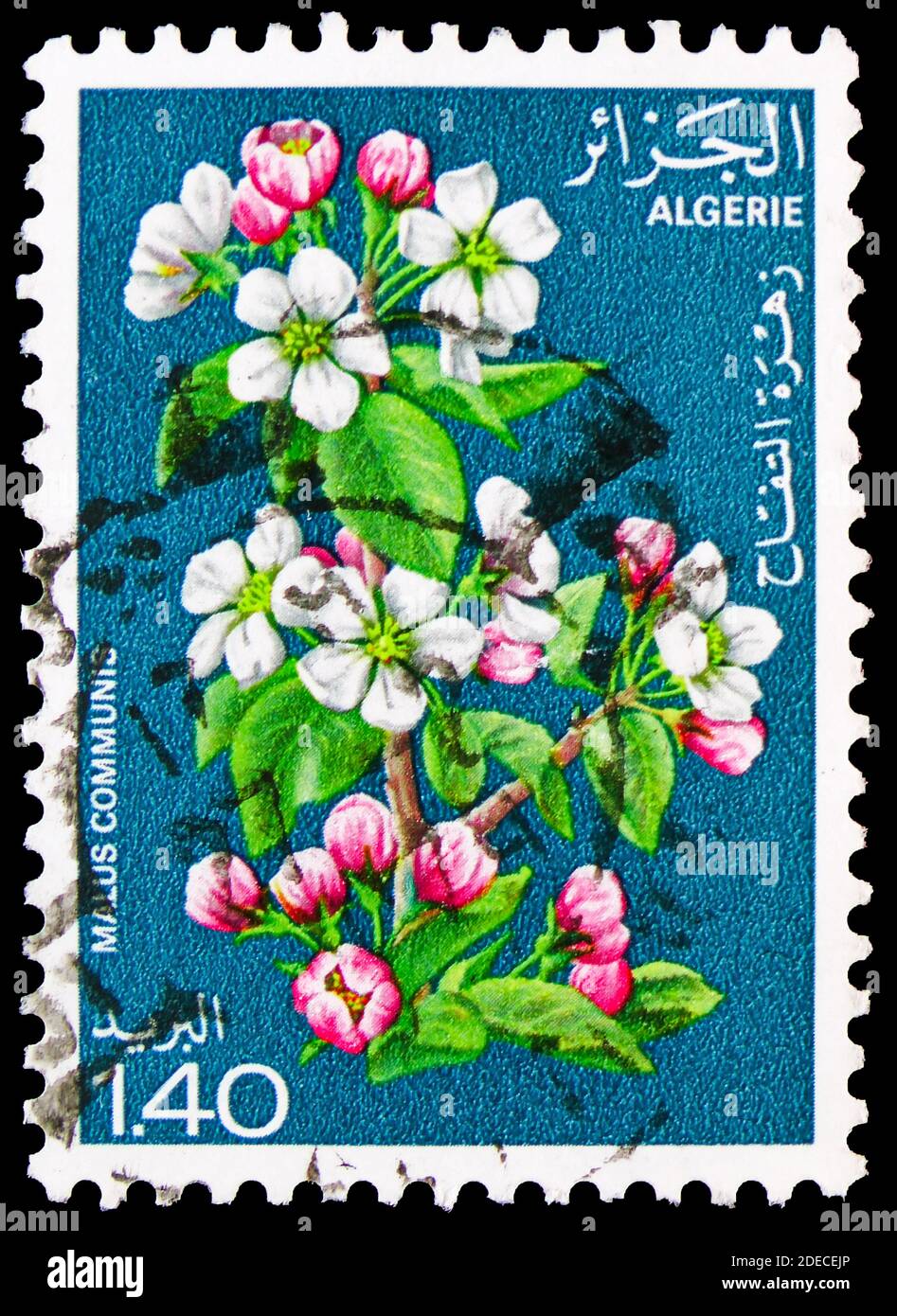 MOSCOW, RUSSIA - OCTOBER 17, 2020: Postage stamp printed in Algeria shows Apple, Flowering Trees serie, circa 1978 Stock Photo