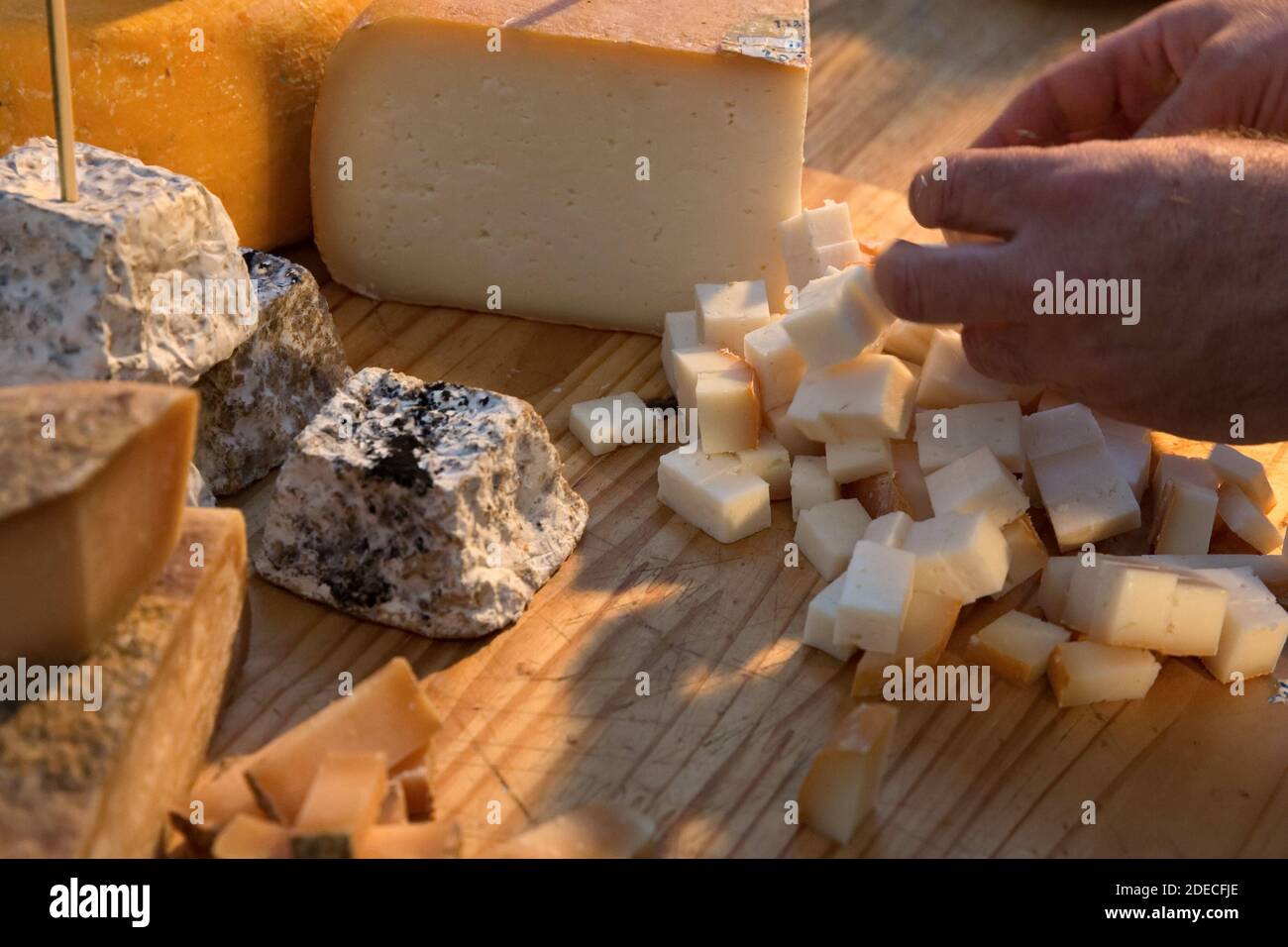 Assortment of cheeses Goat, Sheep and cow dairy products Stock Photo