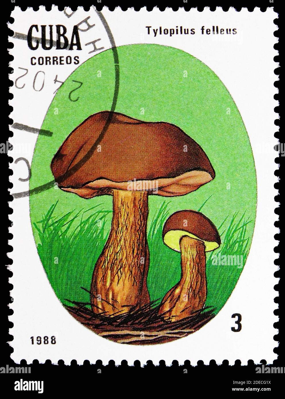 MOSCOW, RUSSIA - OCTOBER 17, 2020: Postage stamp printed in Cuba shows Tylopilus felleus, Mushrooms serie, circa 1988 Stock Photo