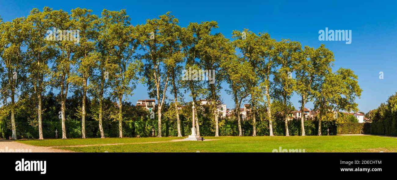 Big panorama of the Hemicycle or Lawn of Columns in the Boboli Gardens, Florence with a row of plane trees, a hedge with niches containing antique... Stock Photo