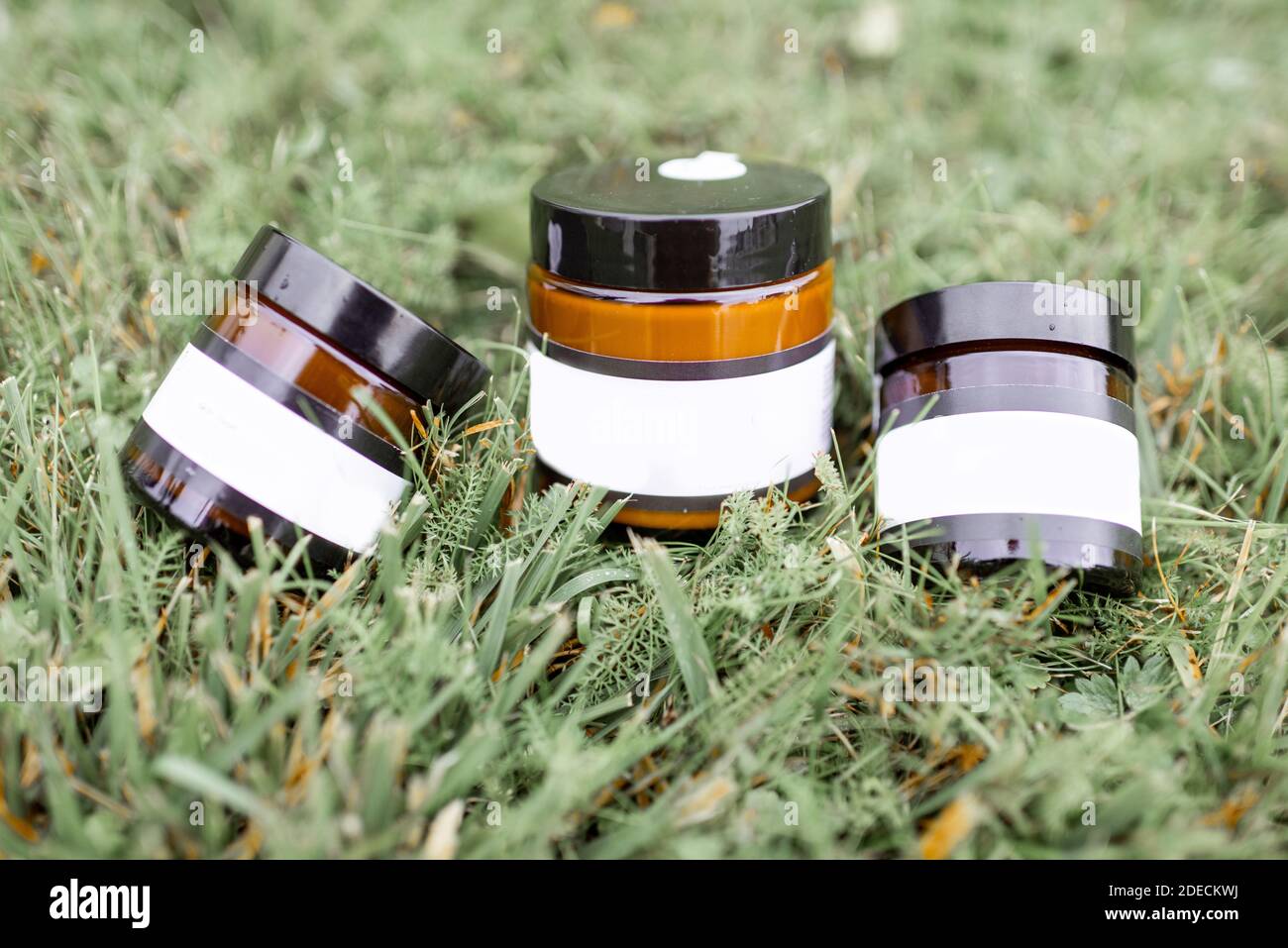 Bottles with empty stickers to copy paste lying on the green grass Stock Photo