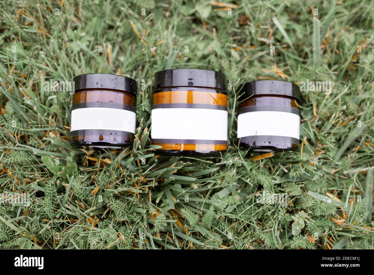 Bottles with empty stickers to copy paste lying on the green grass Stock Photo