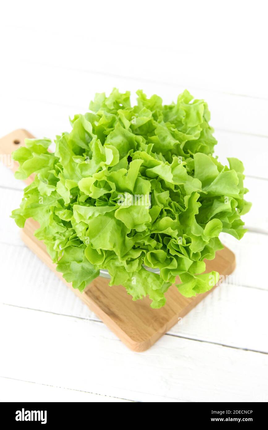 Fresh vegetable, green oak leaves, in a bowl on wooden severing platter against white table background Stock Photo