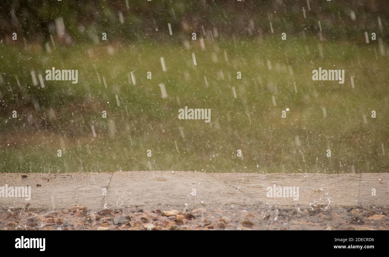 Heavy, summer rain falling, onto path and grass in garden. Puddles on path. Tamborine Mountain, Queensland, Australia. Stock Photo